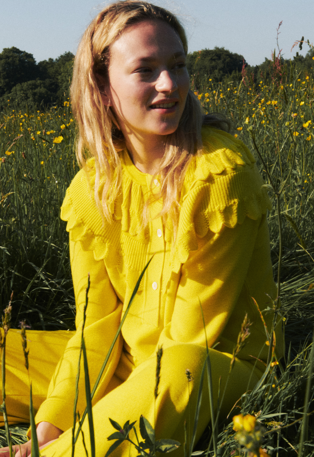 buttercup