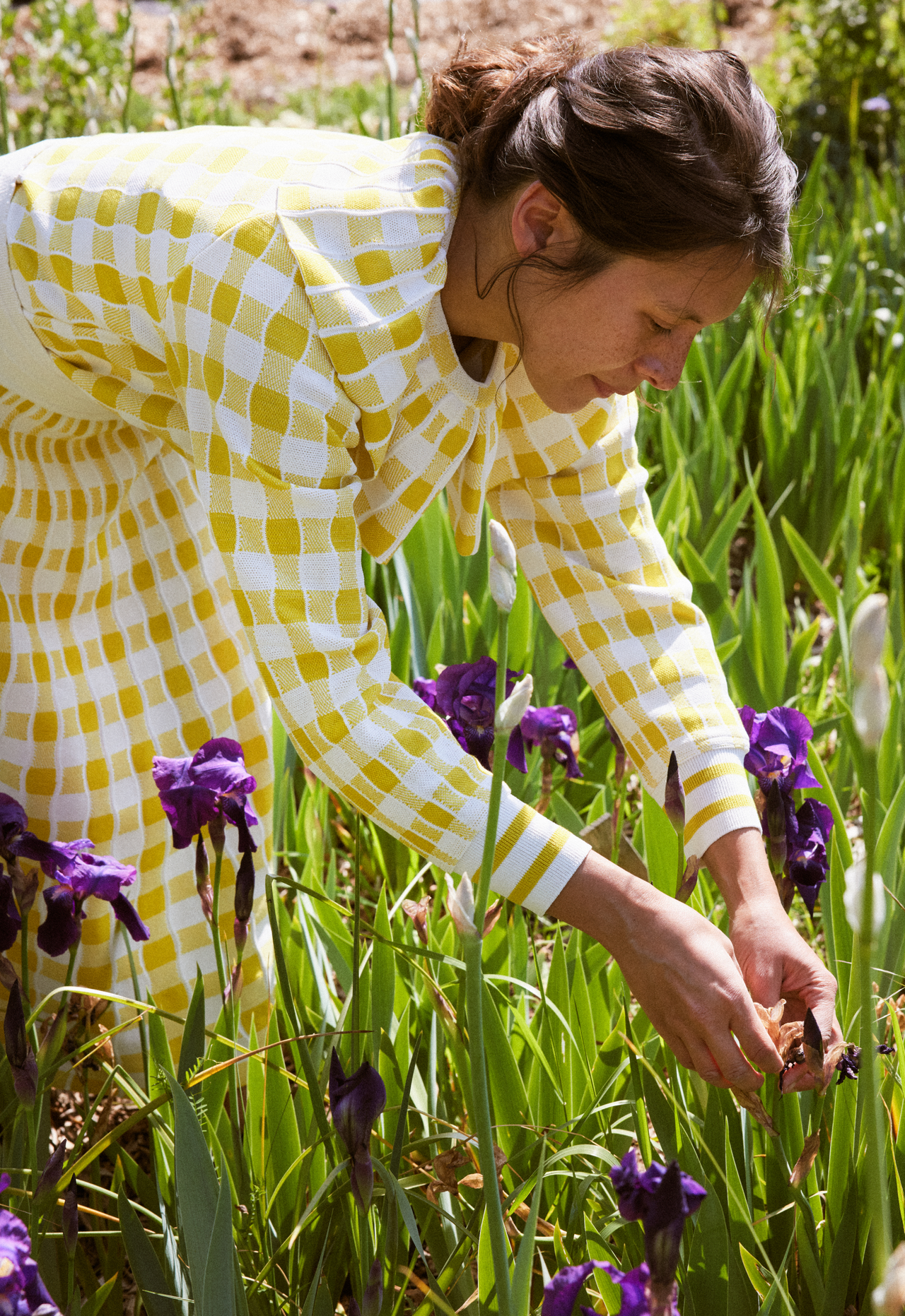 A flower farm