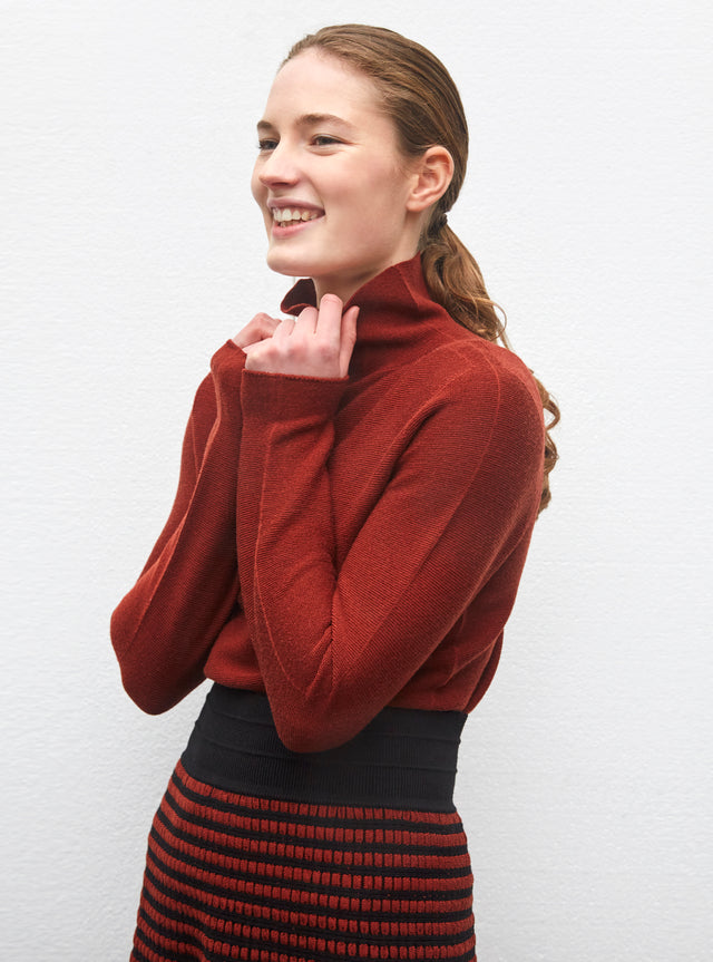 pull droit col montant - Image principale