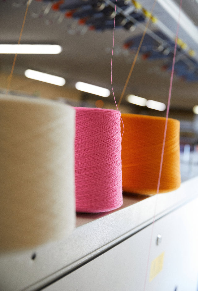 A remarkable wool Molli