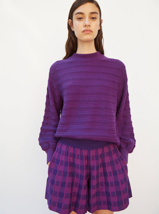 plain gingham knit shorts